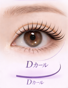 Dカール